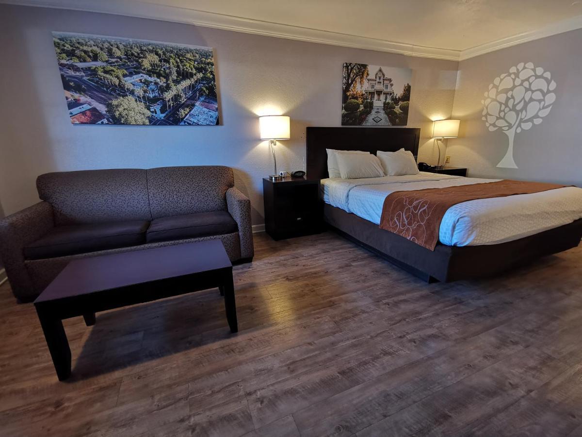 Journey Inn Woodland Buitenkant foto